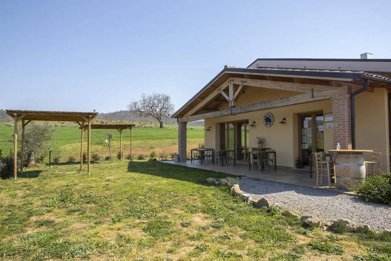 Alloggio per agriturismo Agriturismo Casa Ricci Magliano in Toscana