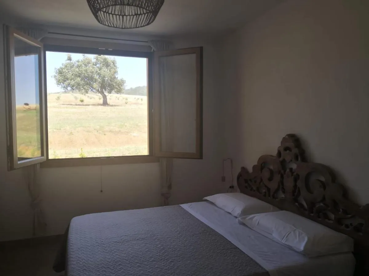 Agriturismo Casa Ricci Magliano in Toscana